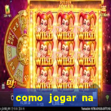 como jogar na lotinha do jogo do bicho